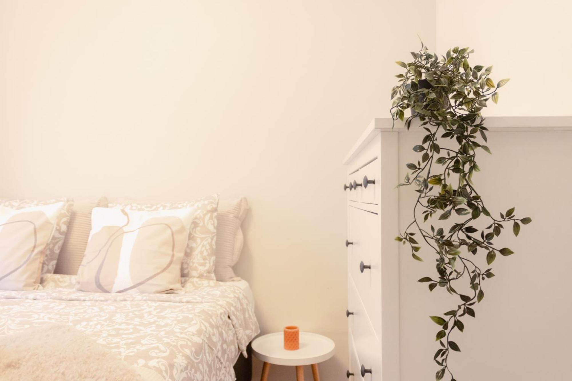 Boho Chic Urban Oasis *